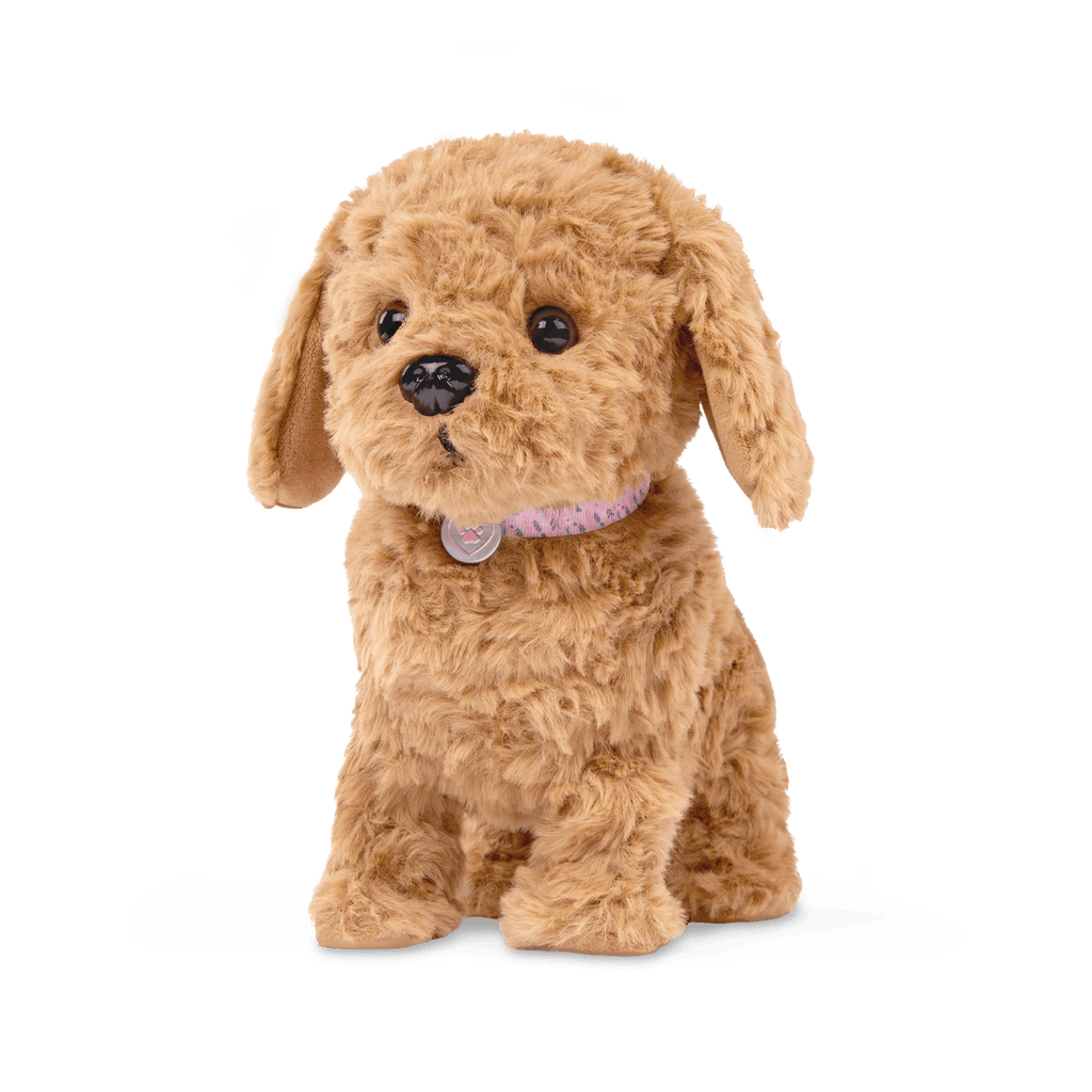 Playful Paws Goldendoodle Pup