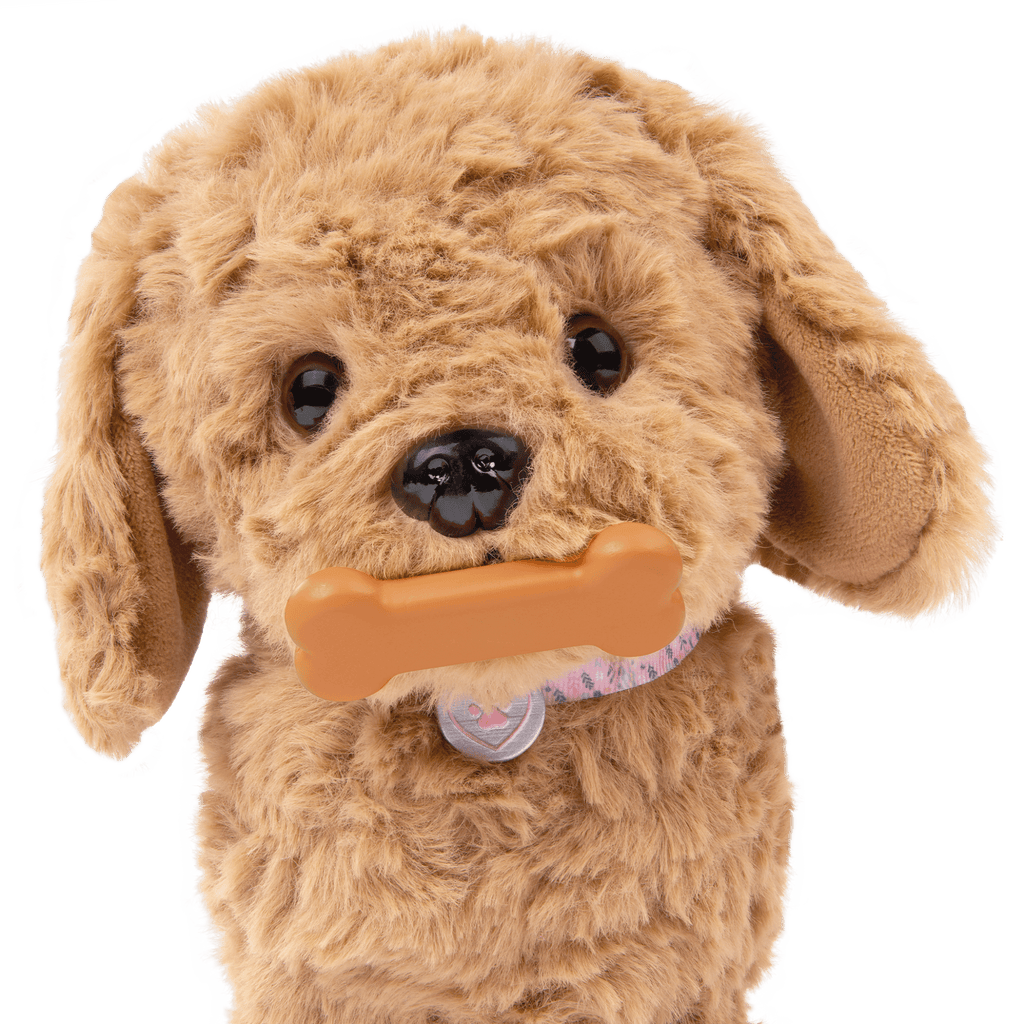 Playful Paws Goldendoodle Pup