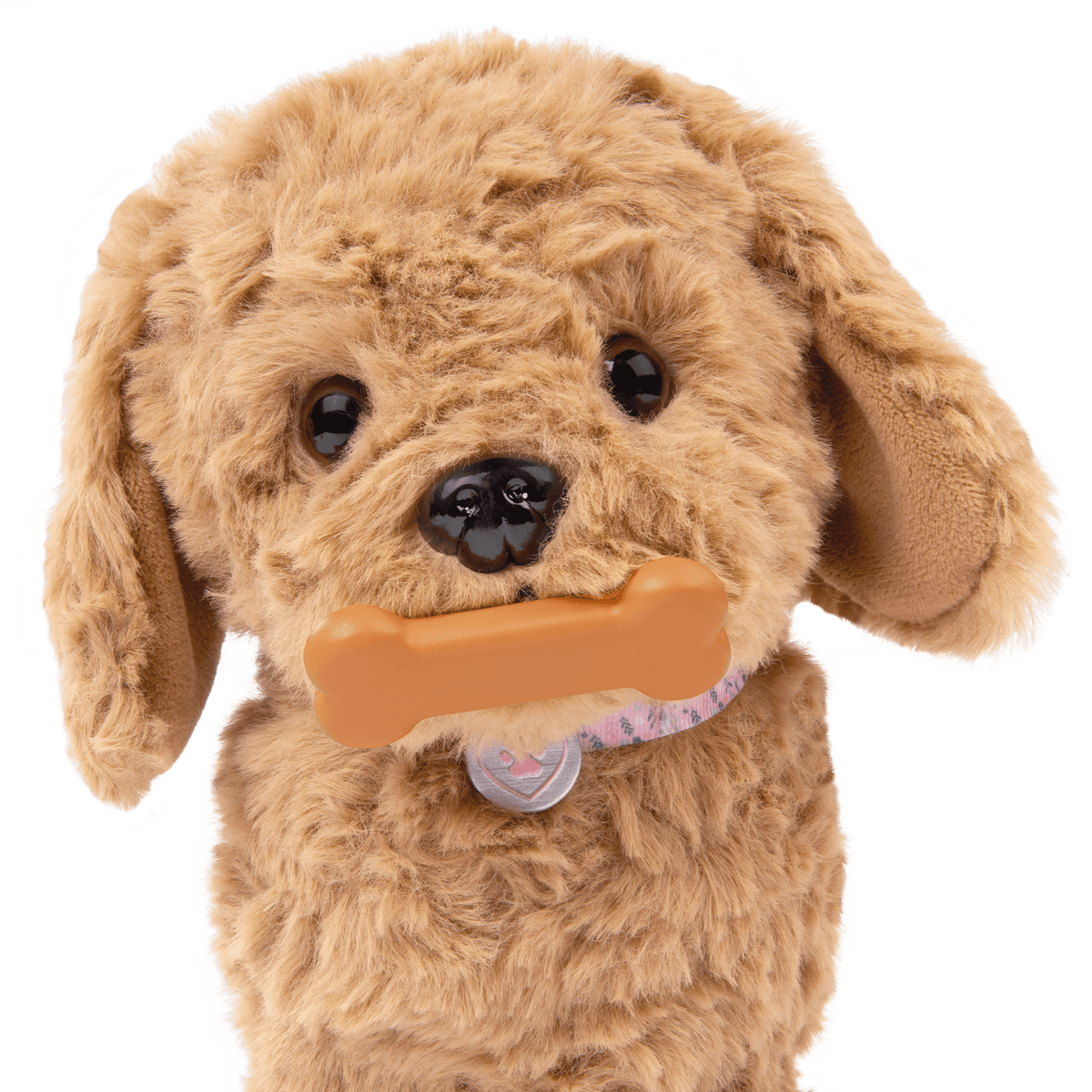 Playful Paws Goldendoodle Pup