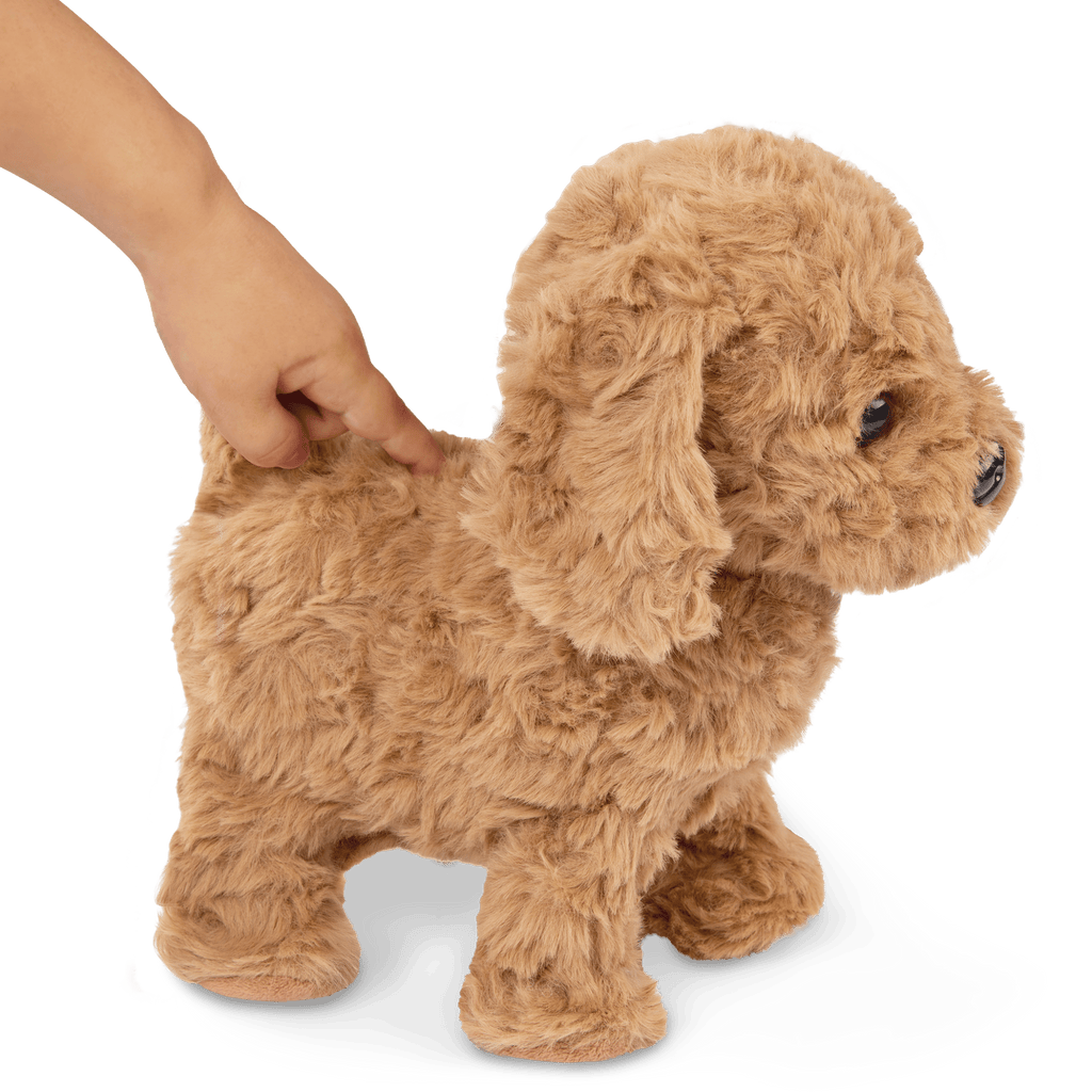 Playful Paws Goldendoodle Pup