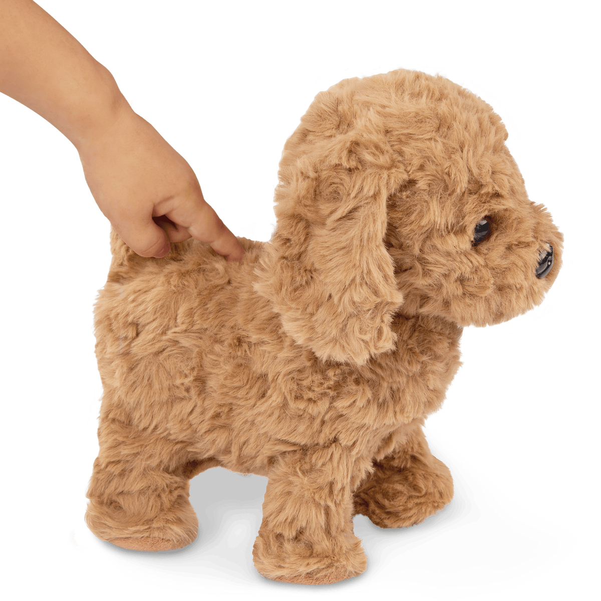 Playful Paws Goldendoodle Pup