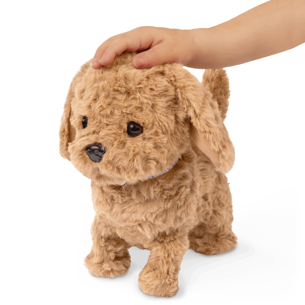 Playful Paws Goldendoodle Pup