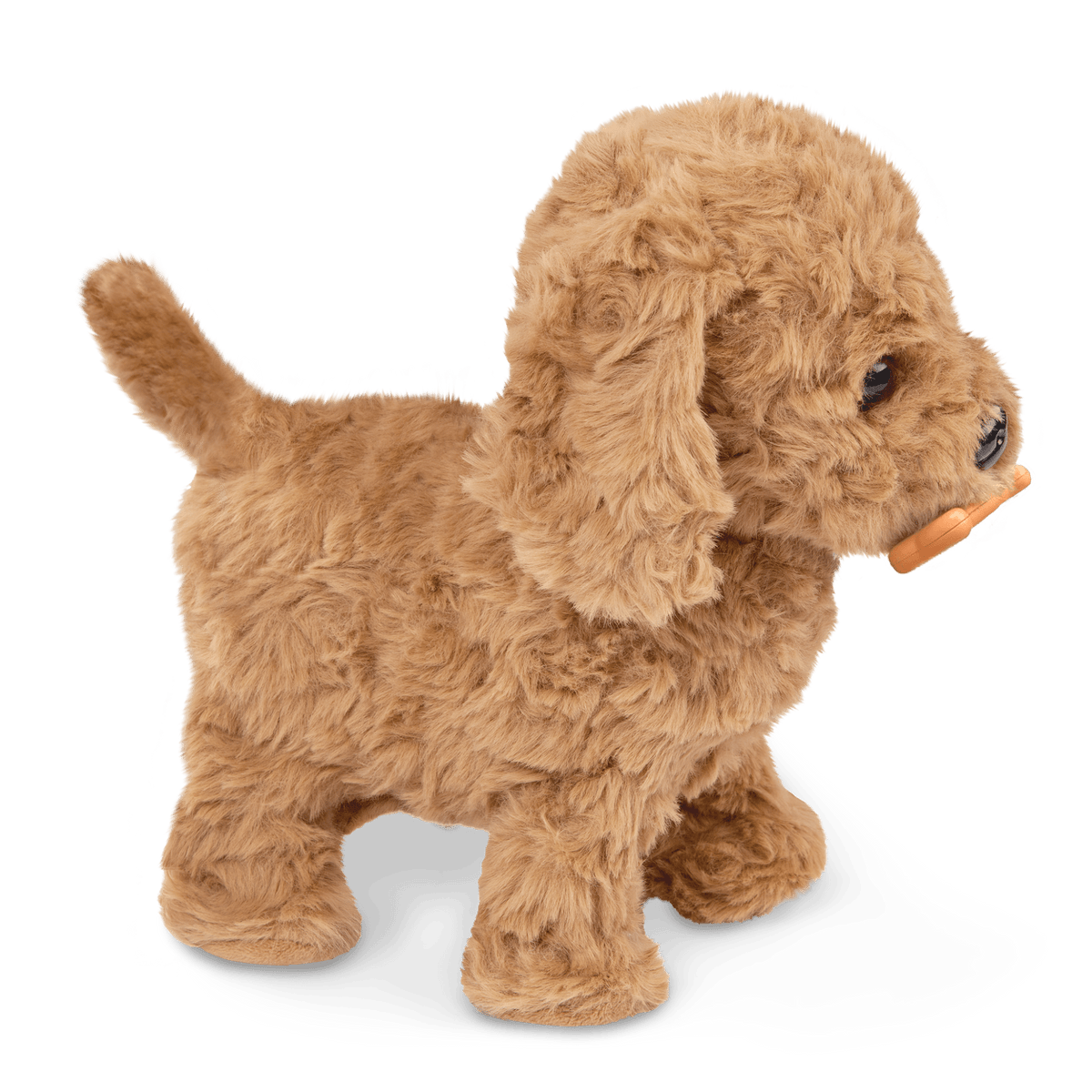 Playful Paws Goldendoodle Pup