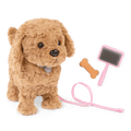 Playful Paws Goldendoodle Pup