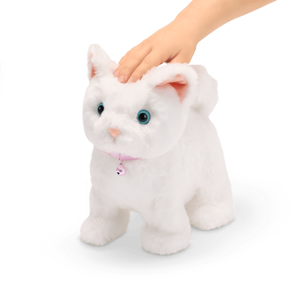 Playful Paws Purring Kitten