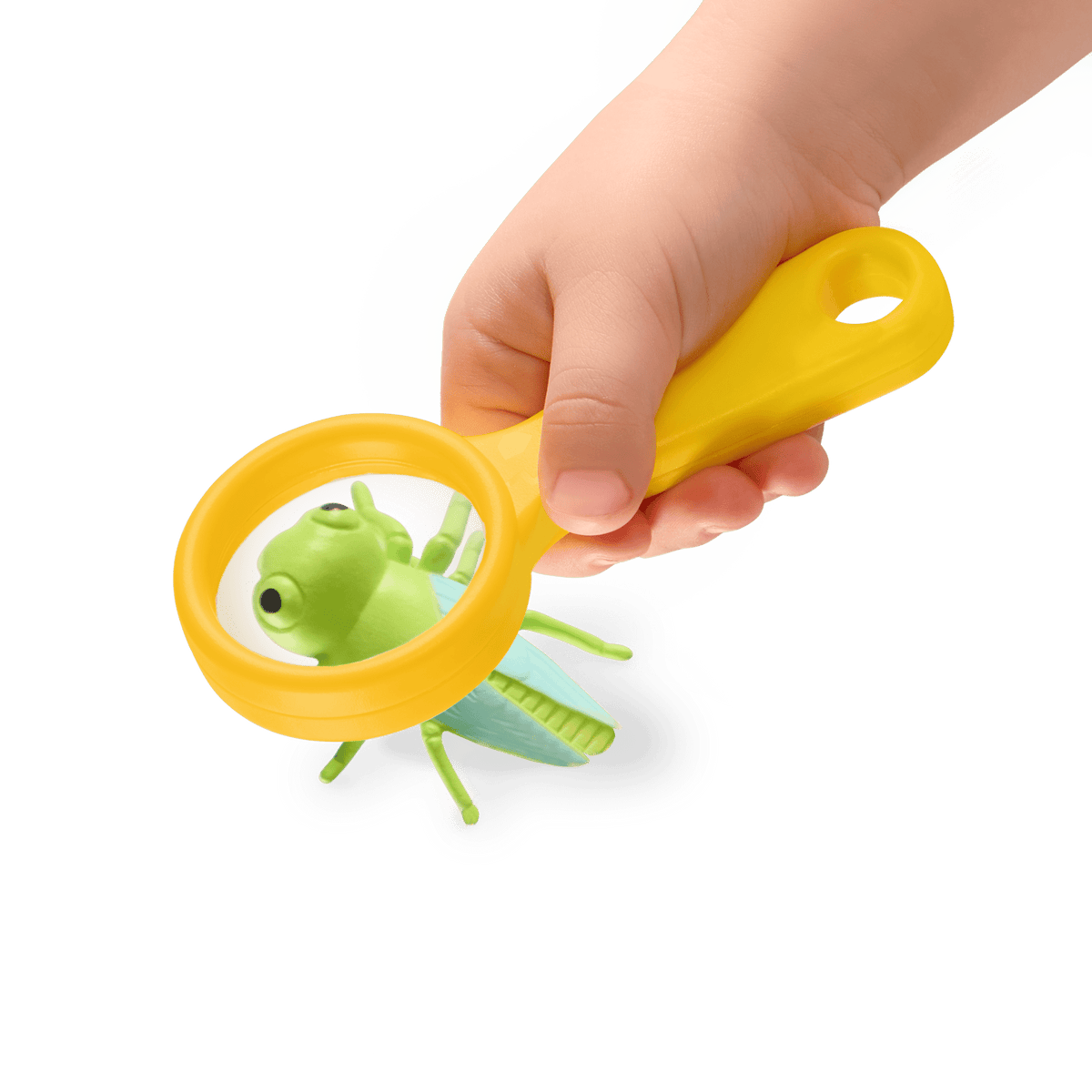 Bug Catch N Free