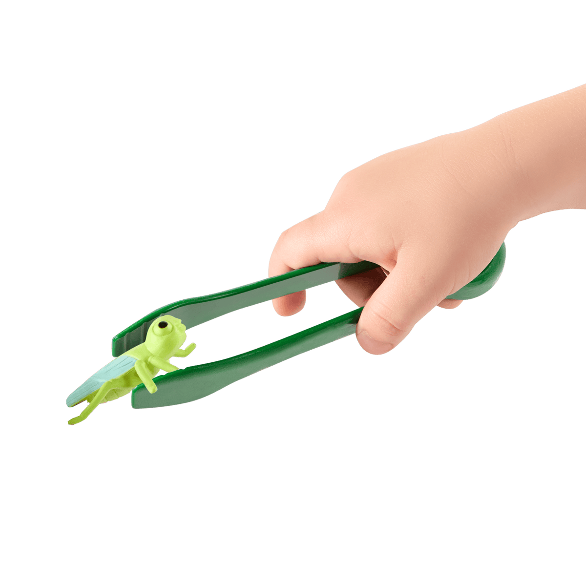 Bug Catch N Free