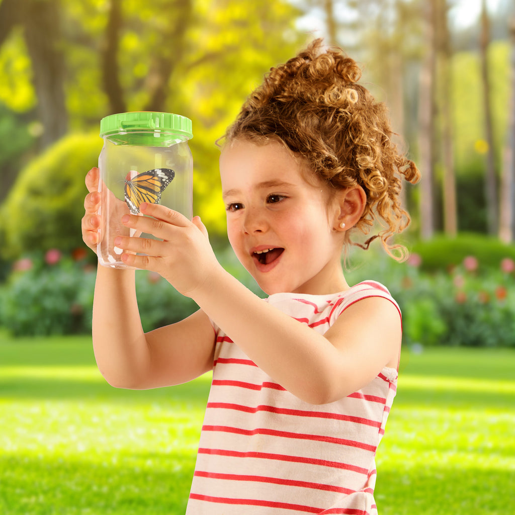 Bug Catch N Free
