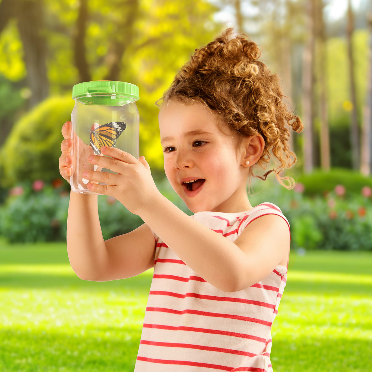 Bug Catch N Free