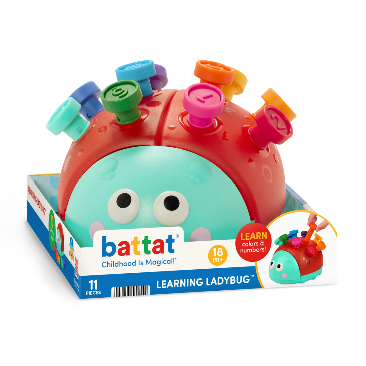 Learning Ladybug
