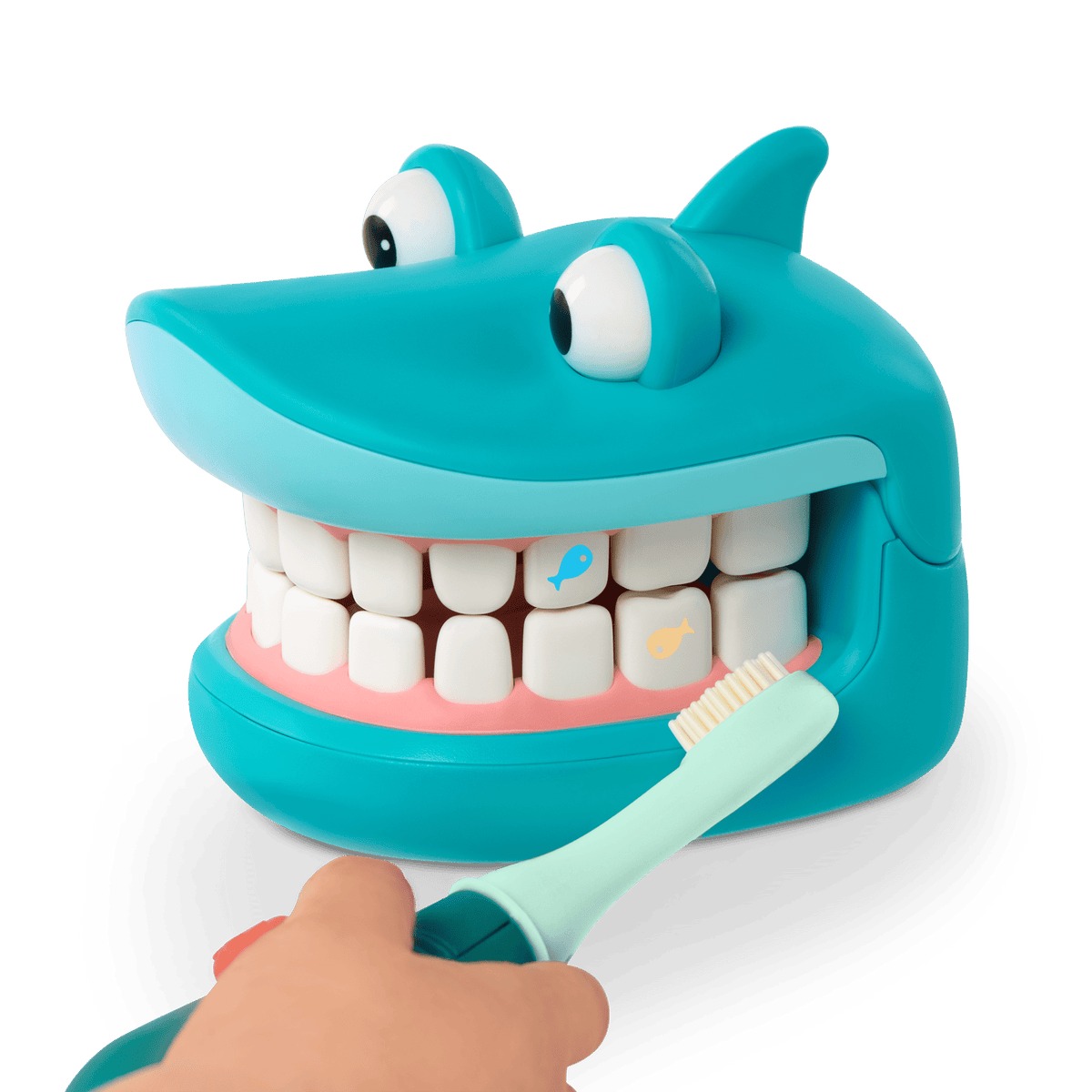 Shark Tooth Dentist Playset