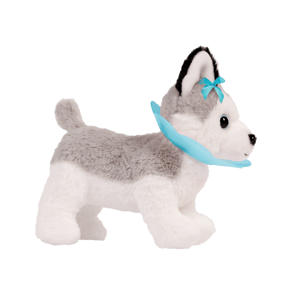 Husky Vet Care Carrier