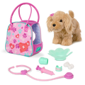 Cocker Spaniel Vet Care