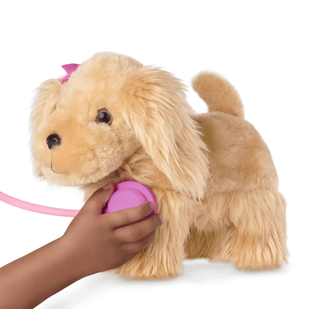 Cocker Spaniel Vet Care