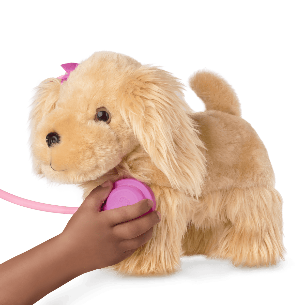 Cocker Spaniel Vet Care